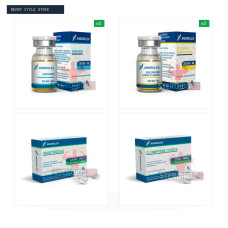 Lean Mass Bulking Cycle: Sustanon 250 + Boldenone + PCT (Androlex — 10 Weeks)