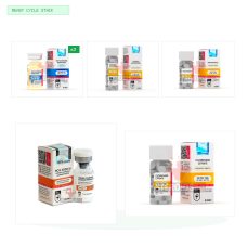 Klassische Anfänger-Kur mit HCG: Testosteron Enantat + Turinabol + HCG + PCT (Hilma Biocare)