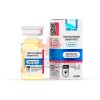 Testosterone Enanthate - Hilma Biocare | 10ml | 250 mg/ml