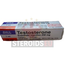 Testosterone enanthate - Rotexmedica (Germany) | box 1amp x 1ml | 250 mg/ml