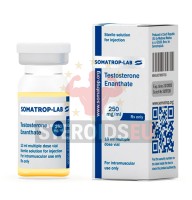 Testosterone Enanthate Somatrop-Lab 10ml/250 mg/ml
